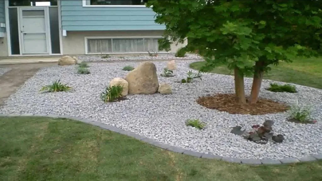 Summer Maintenance Cleanup & Late Summer Beauty for Your Lawn and Garden