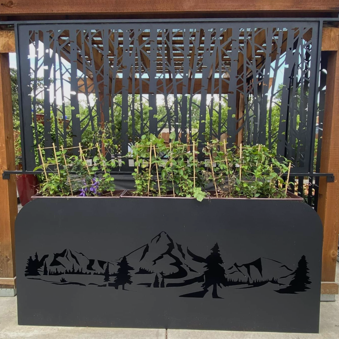 Two large pots with plants on a sidewalk